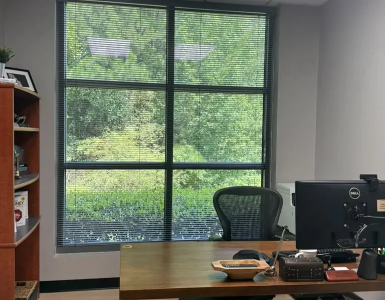 Large private office with desk and greenery view at World Park Alpharetta