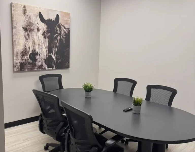 Nova meeting room for 5 people at World Park in Alpharetta